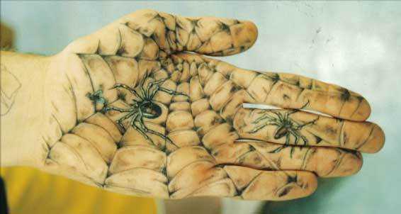 SPIDER WEB TATTOO aaa