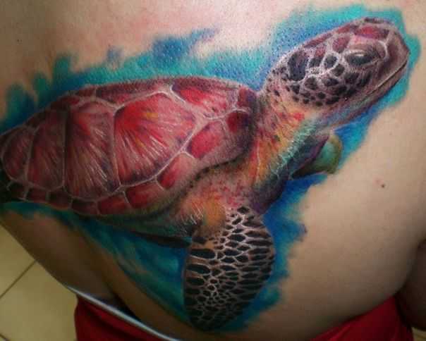 tatu_cherepaha-100