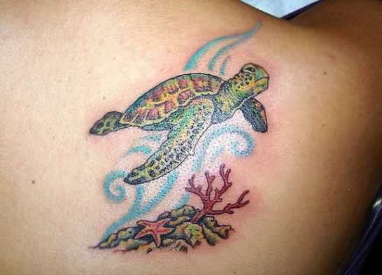 tatu_cherepaha-4