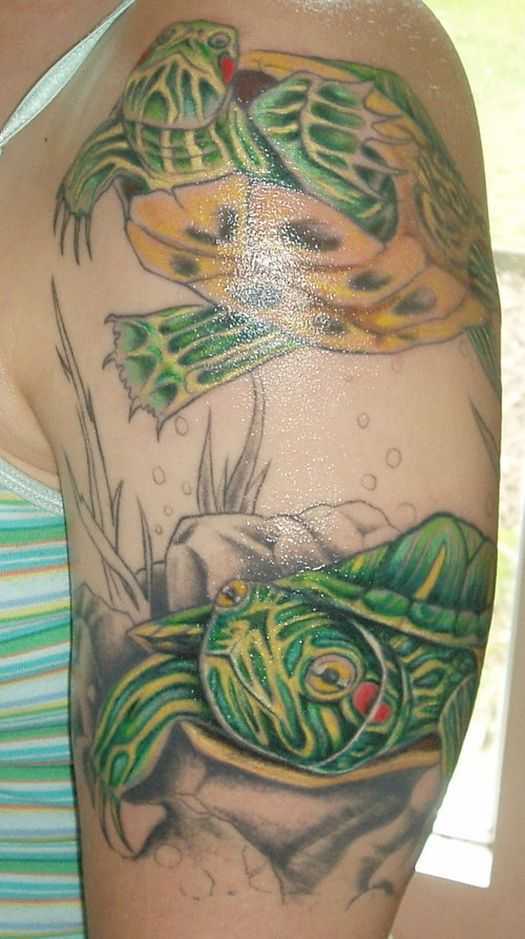 tatu_cherepaha-64