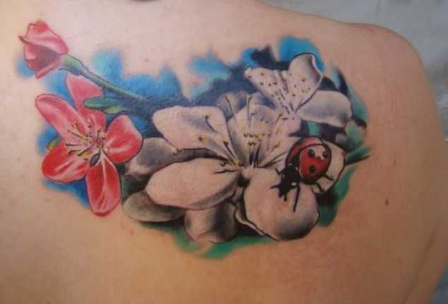 tatu_cvety-50