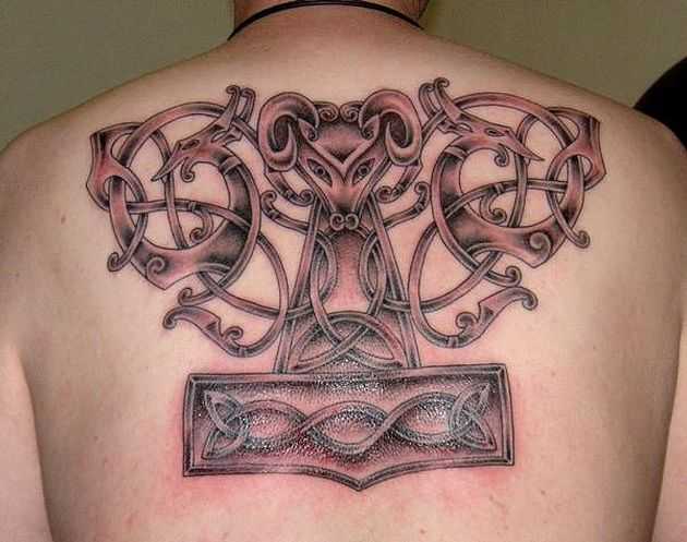 tatu_kelty-20