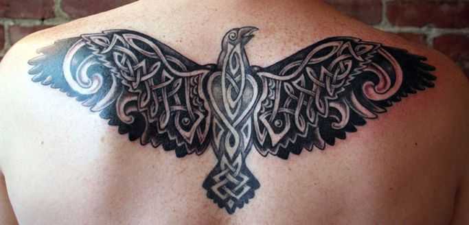 tatu_kelty-93