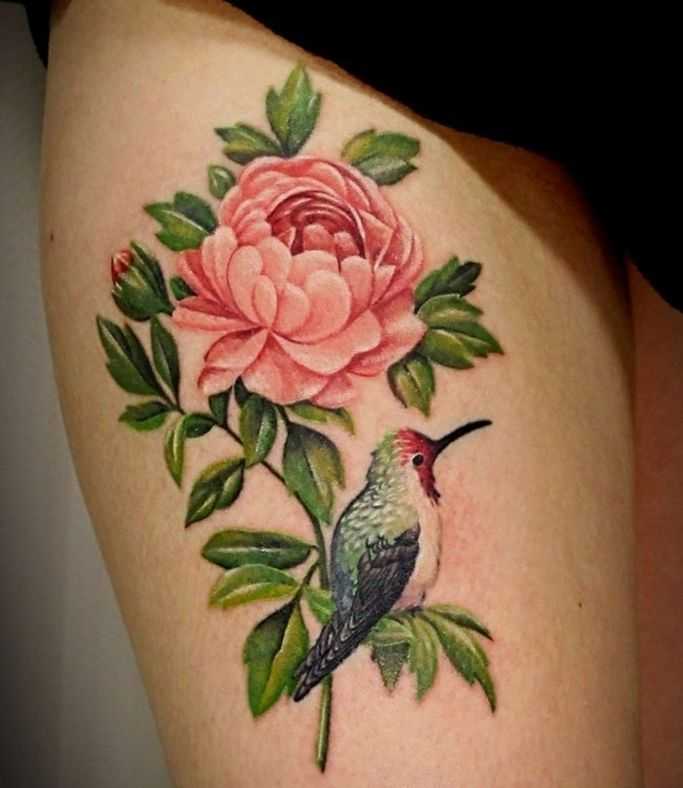 tatu_kolibri-1