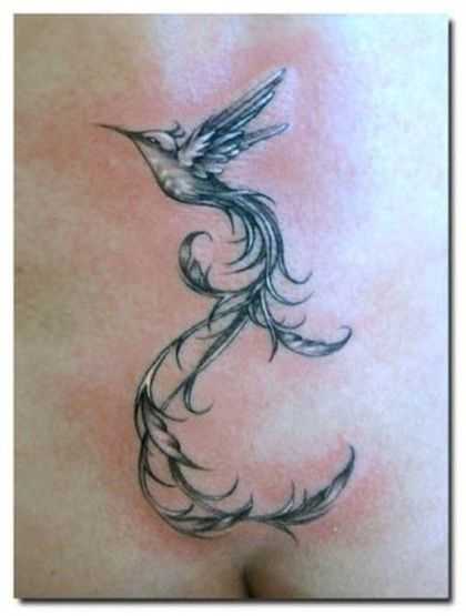 tatu_kolibri-13