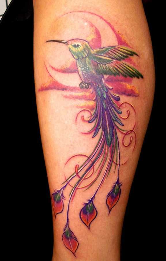 tatu_kolibri-14