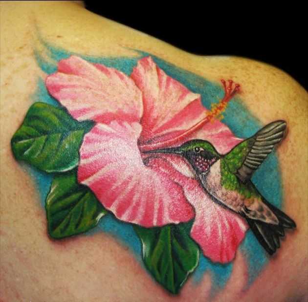 tatu_kolibri-15