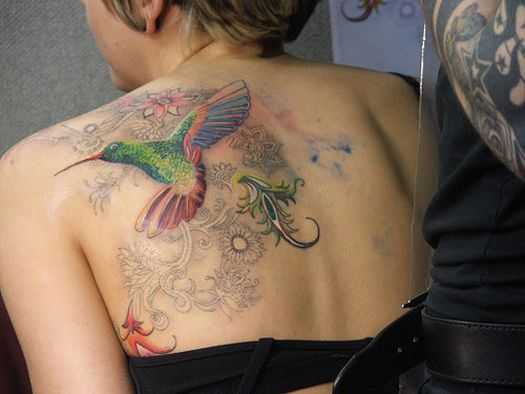 tatu_kolibri-17