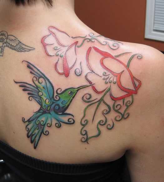 tatu_kolibri-19