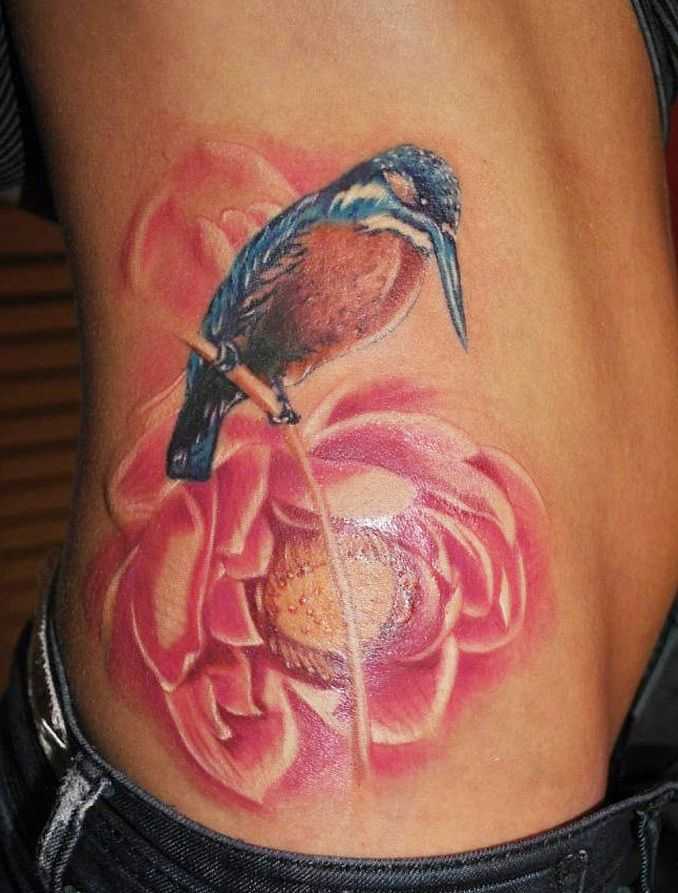tatu_kolibri-2