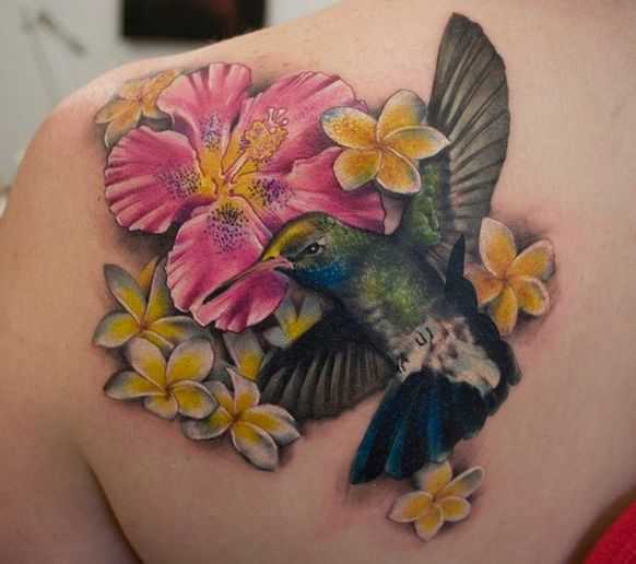 tatu_kolibri-22