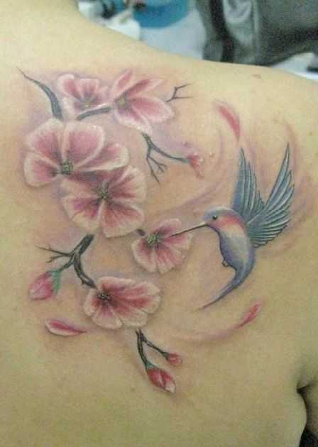 tatu_kolibri-24