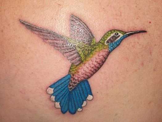 tatu_kolibri-28
