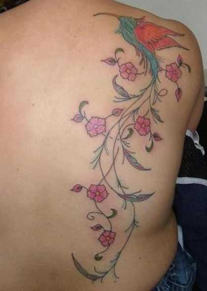 tatu_kolibri-29