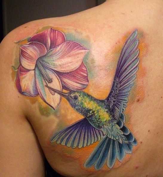 tatu_kolibri-3