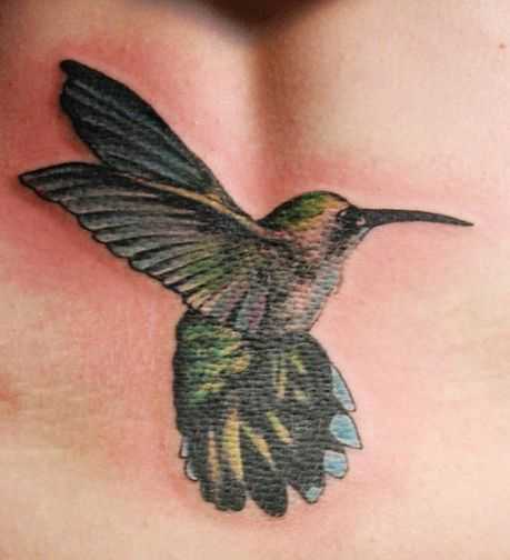 tatu_kolibri-31