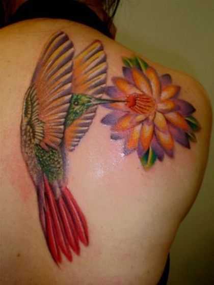 tatu_kolibri-32