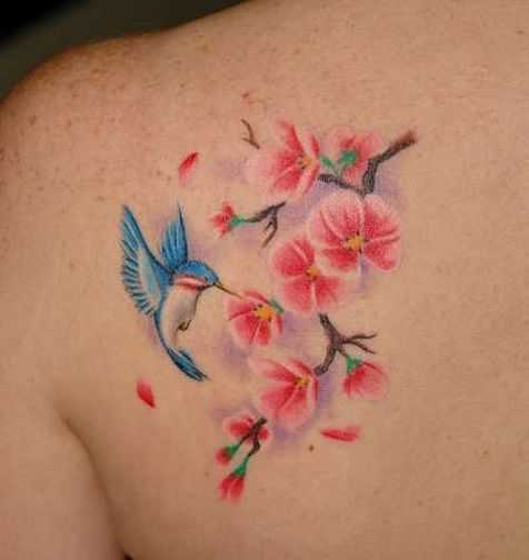 tatu_kolibri-34