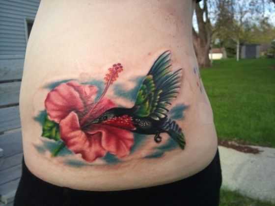 tatu_kolibri-35