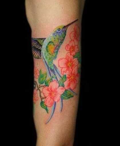 tatu_kolibri-37