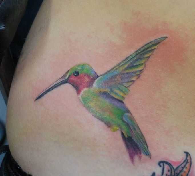 tatu_kolibri-40