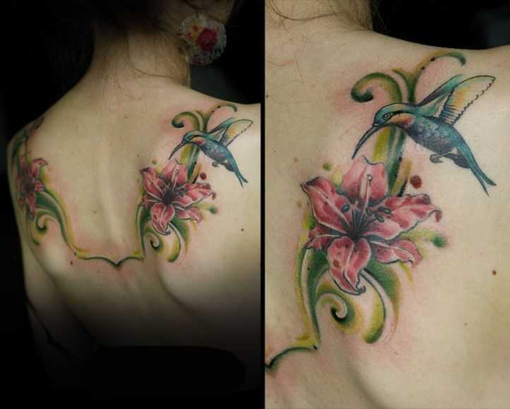 tatu_kolibri-41