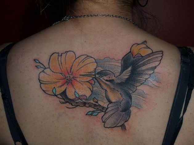 tatu_kolibri-43