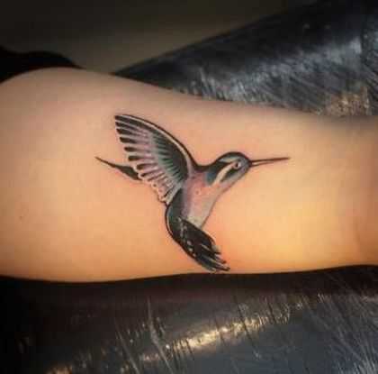 tatu_kolibri-48