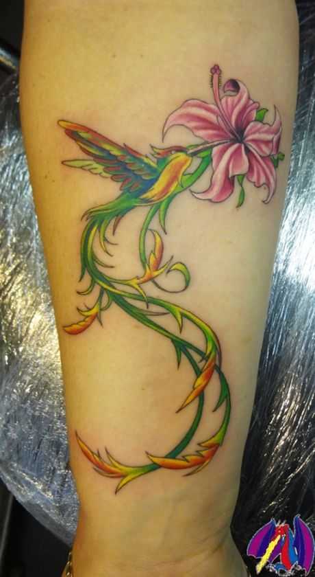 tatu_kolibri-50