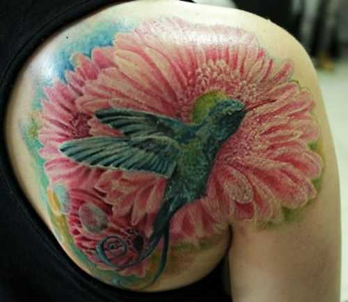 tatu_kolibri-53