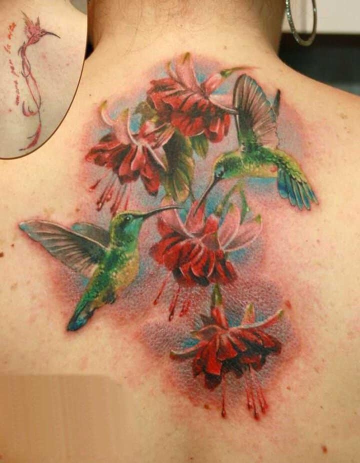 tatu_kolibri-56