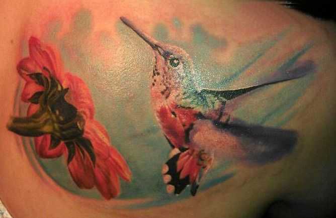 tatu_kolibri-57