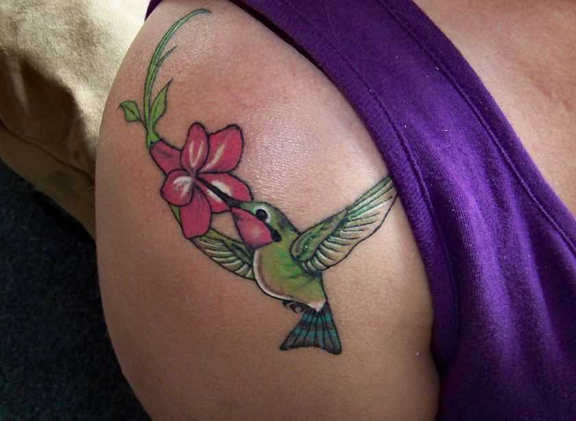 tatu_kolibri-58