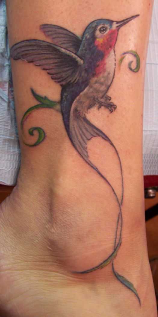 tatu_kolibri-59