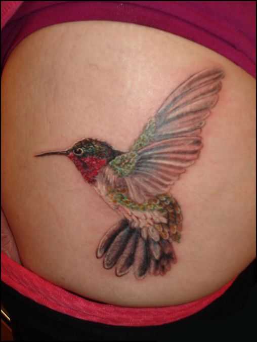 tatu_kolibri-63