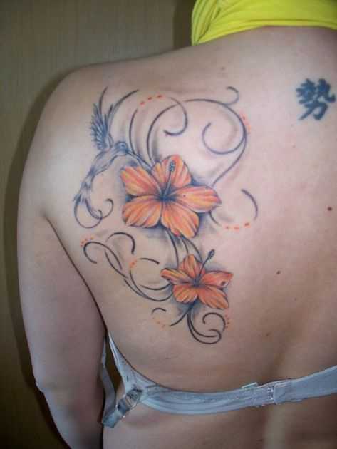tatu_kolibri-7