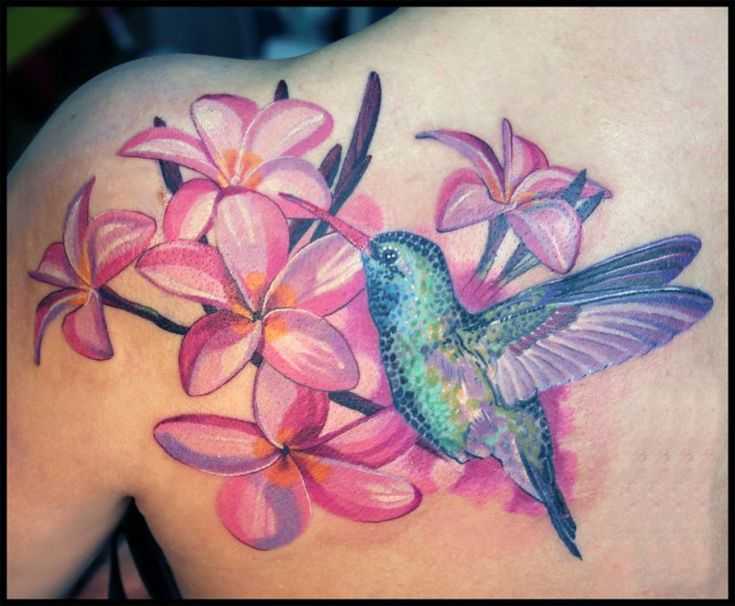 tatu_kolibri-70