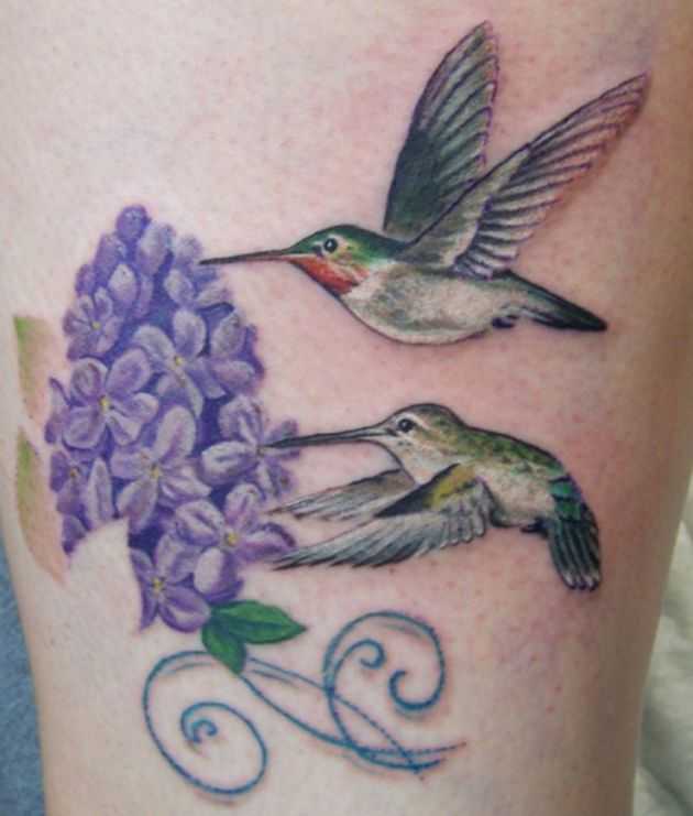 tatu_kolibri-73