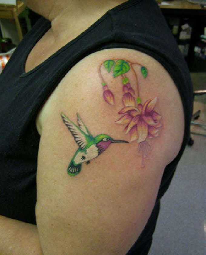 tatu_kolibri-75