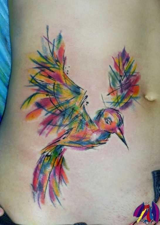 tatu_kolibri-76