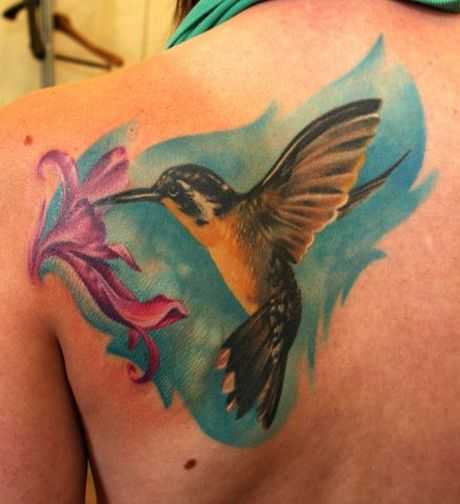 tatu_kolibri-84