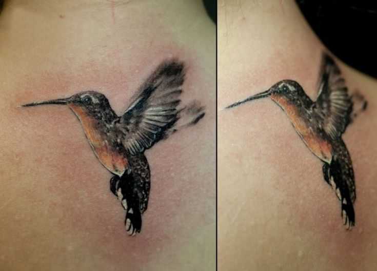 tatu_kolibri-85