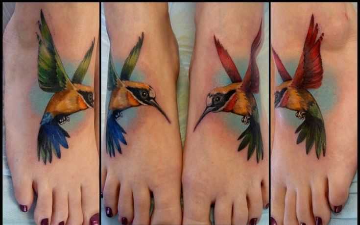 tatu_kolibri-87