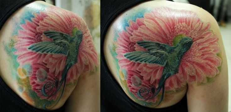 tatu_kolibri-88