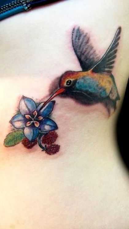 tatu_kolibri-9