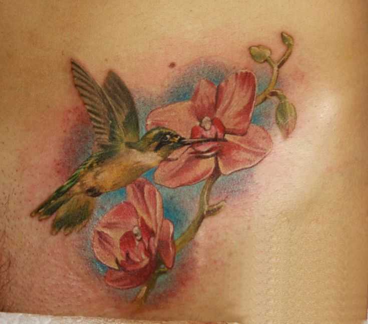 tatu_kolibri-90