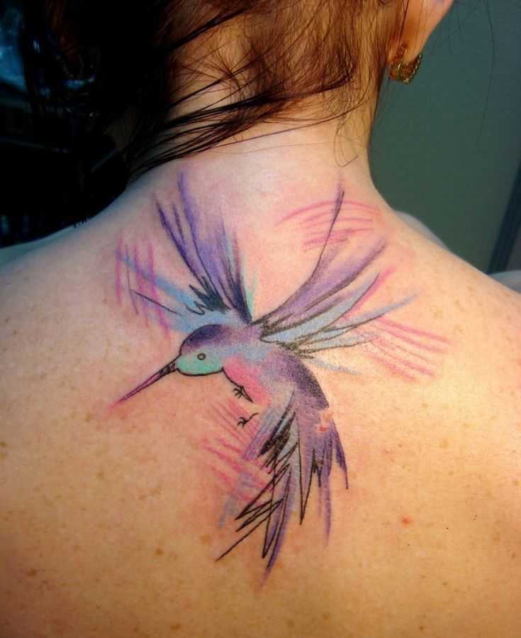 tatu_kolibri-91