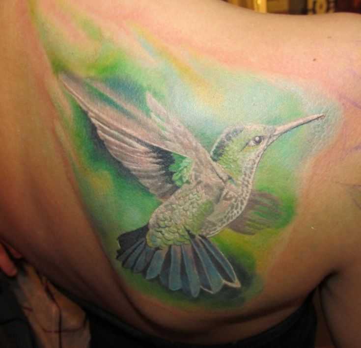 tatu_kolibri-93