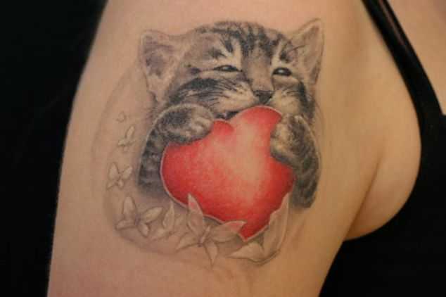 котенок с сердцем тату