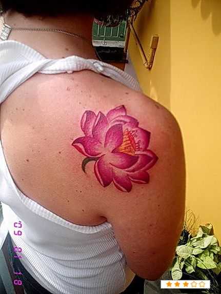 tatu_lotos-101